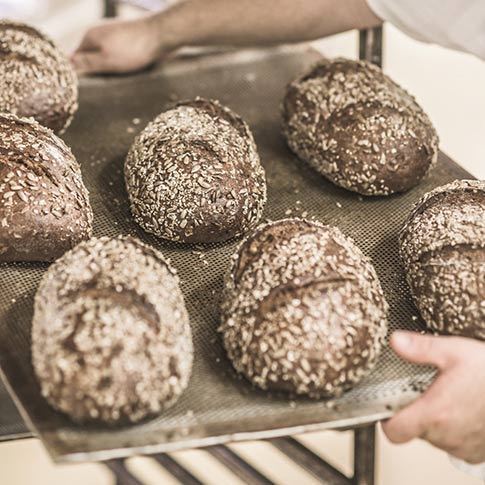 Frische Brote nach dem Backvorgang in der Bäckerei Bärenhecke.